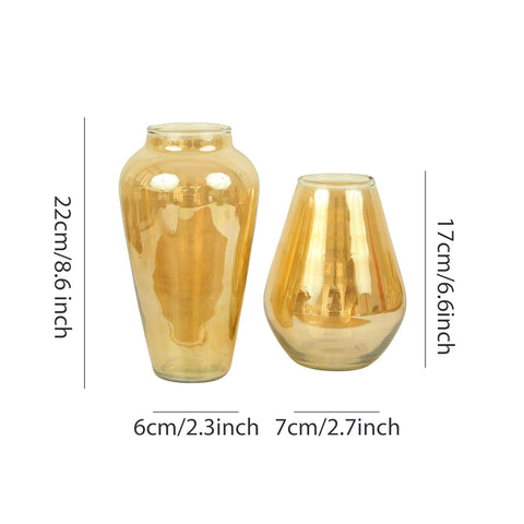 DECORATIVE GLASS VASE - PACK OF 2